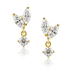 Sahira Bella Cz Stud