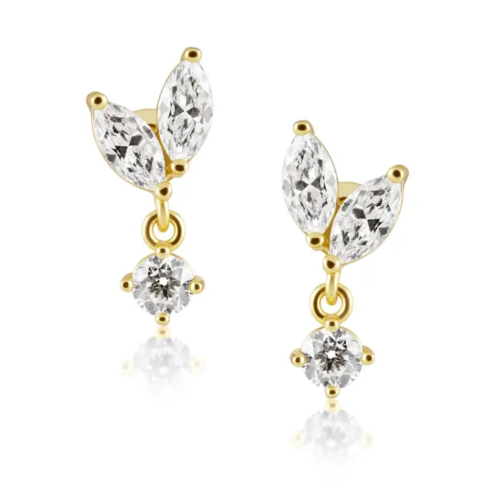 Sahira Bella Cz Stud