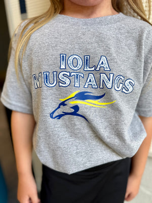 Iola Elementary PTO Fundraiser