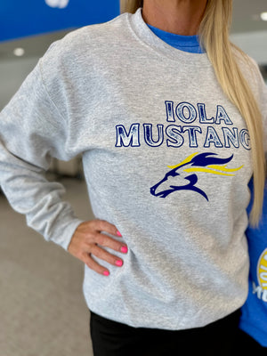 Iola Elementary PTO Fundraiser