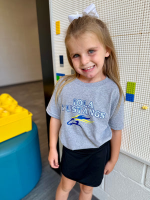 Iola Elementary PTO Fundraiser