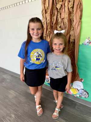 Iola Elementary PTO Fundraiser