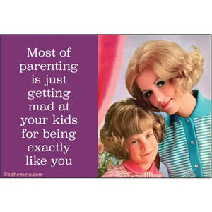 Snarky Fridge Magnets