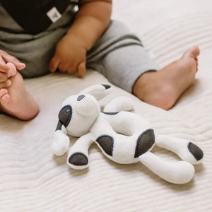 Burt's Bees Baby Puppy Plush Baby Rattle