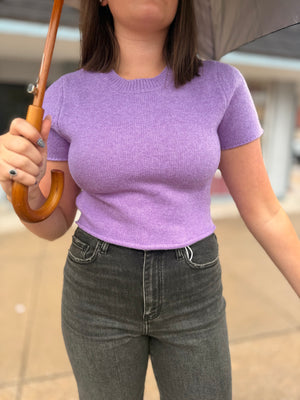 Purple Short Sleeve Cropped Sweater