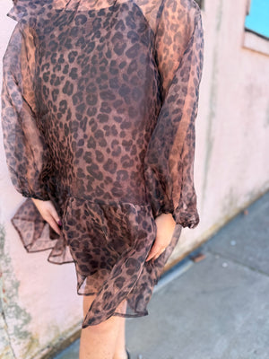 Entro Leopard Print Sheer Mini Dress w/ Tie Neck + Balloon Sleeve
