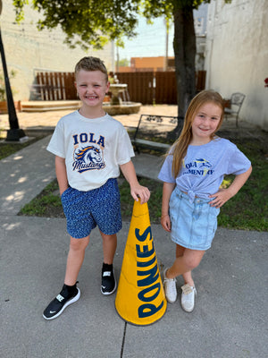 Iola Elementary PTO Fundraiser 2026