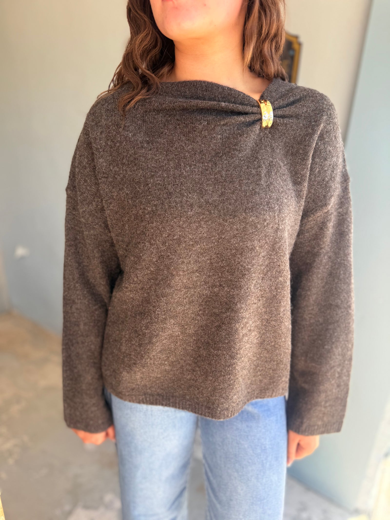 She & Sky Brown Sweater Top w/ Brooch Detail