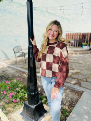 Brown Checkered Crochet Knit Long Sleeve Sweater