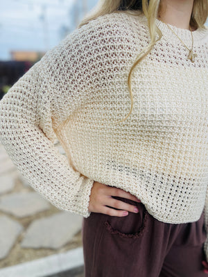 Oatmeal Crochet Knit Sheer Sweater