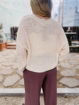 Oatmeal Crochet Knit Sheer Sweater