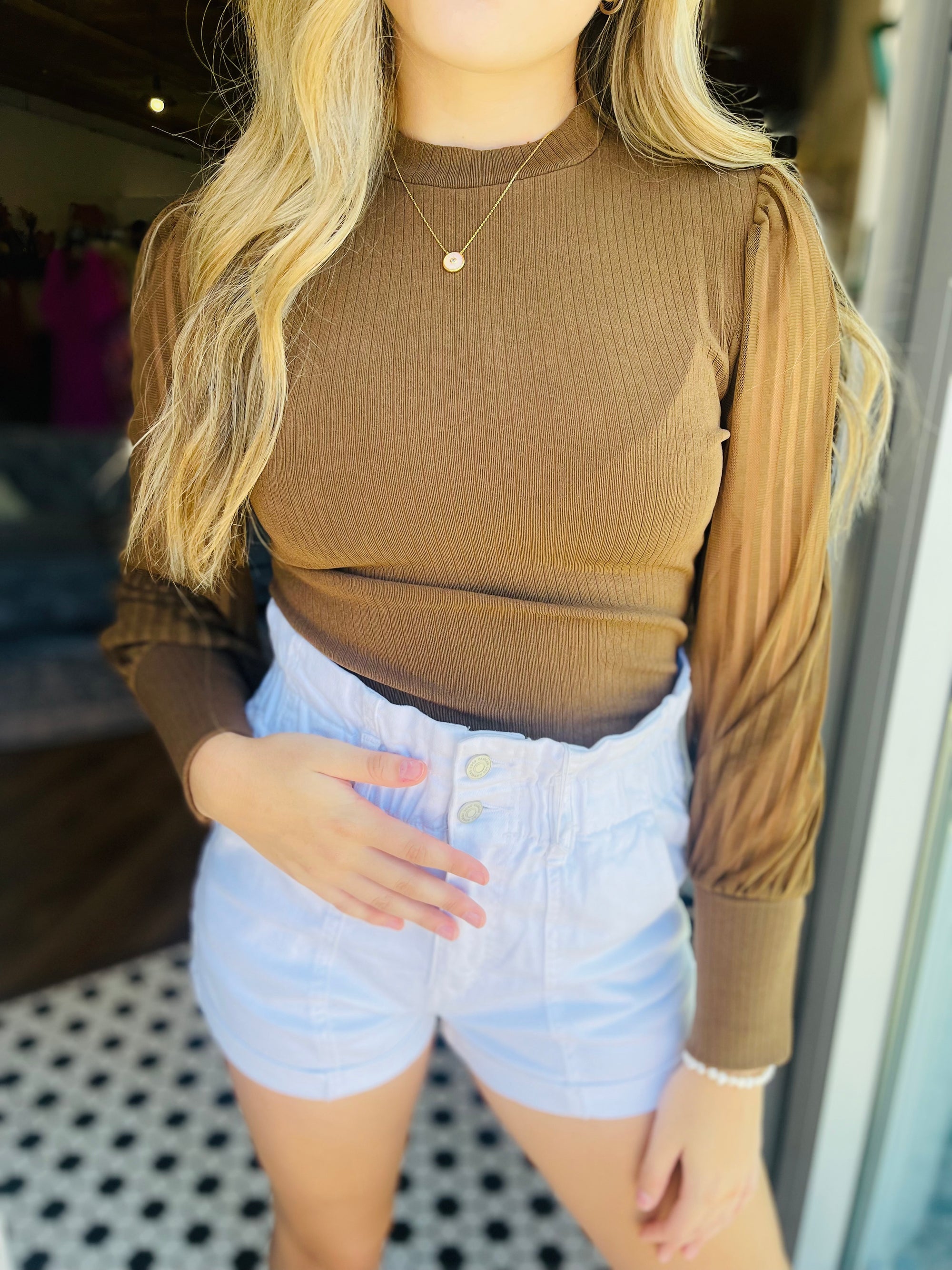 Brown High Neck Sheer Stripe Long Sleeve Top