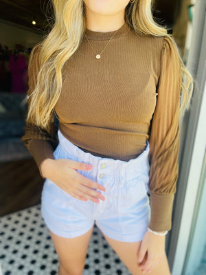 Brown High Neck Sheer Stripe Long Sleeve Top