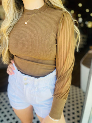 Brown High Neck Sheer Stripe Long Sleeve Top