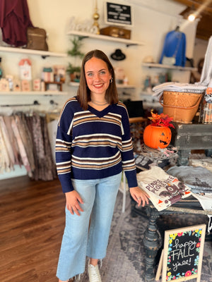 Navy Multi Color Stripe V-Neck Sweater