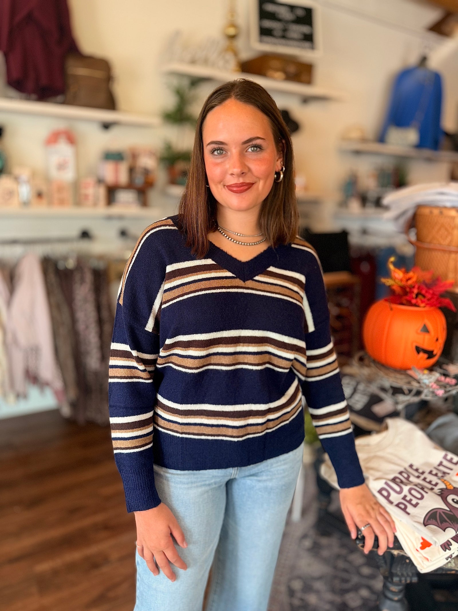 Navy Multi Color Stripe V-Neck Sweater