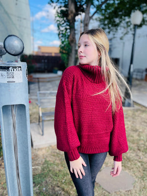 Merlot Textured Knitted Turtleneck Sweater