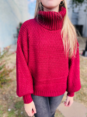 Merlot Textured Knitted Turtleneck Sweater