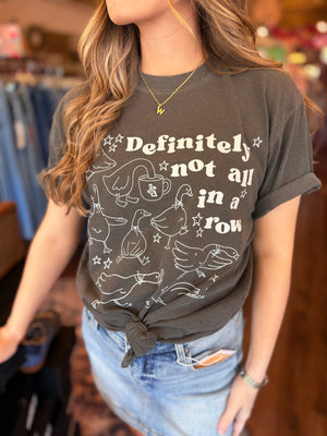 Ducks In A Row Graphic Tee