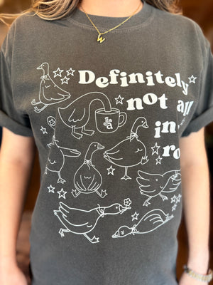 Ducks In A Row Graphic Tee