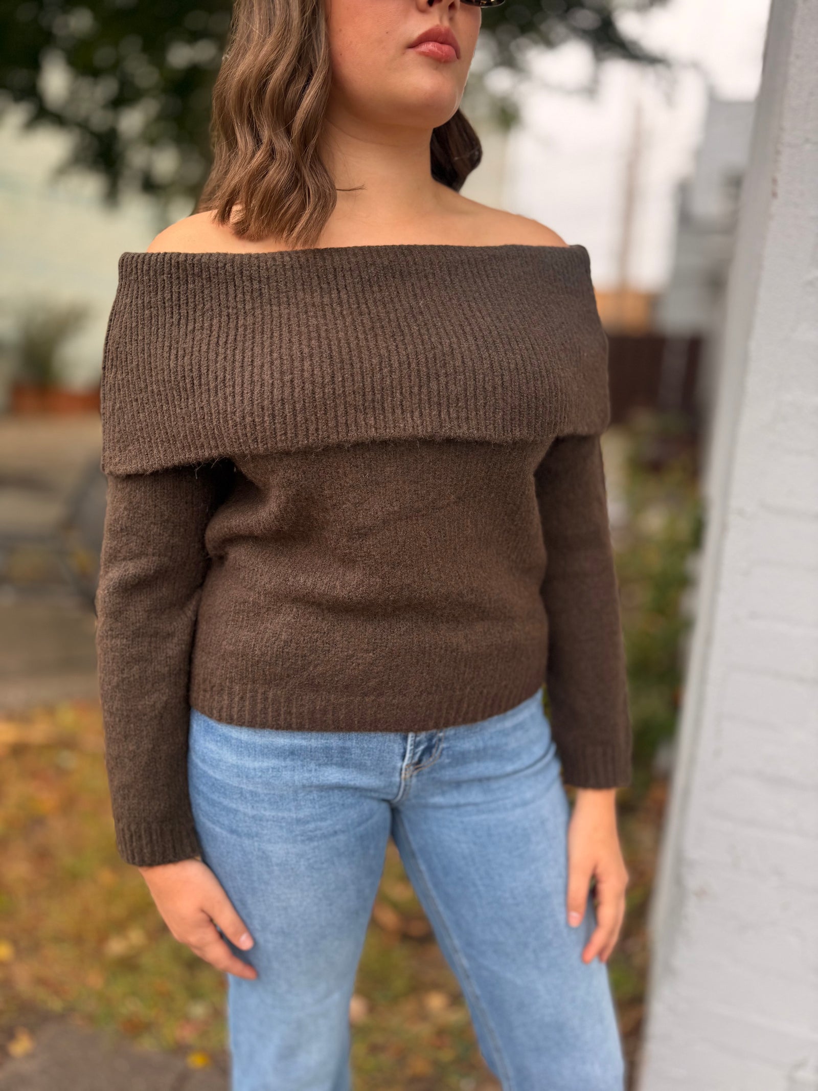 Brown Off The Shoulder Sweater Top