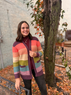 Multi Color Block Cardigan