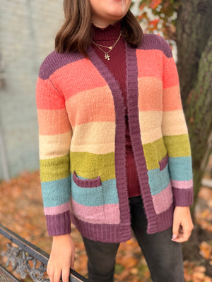 Multi Color Block Cardigan