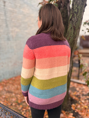 Multi Color Block Cardigan