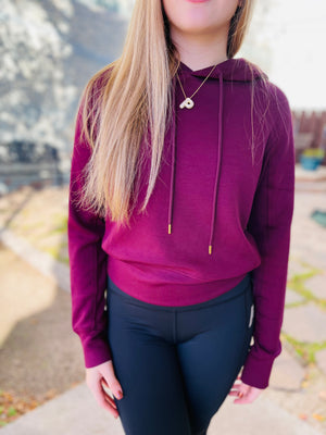 Plum Cropped Hoodie Pullover