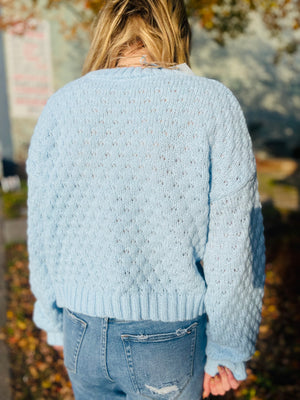 Sky Blue Flower Knit Sweater