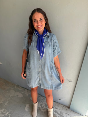 Doe & Rae Denim Yoke Seam Button Down Dress