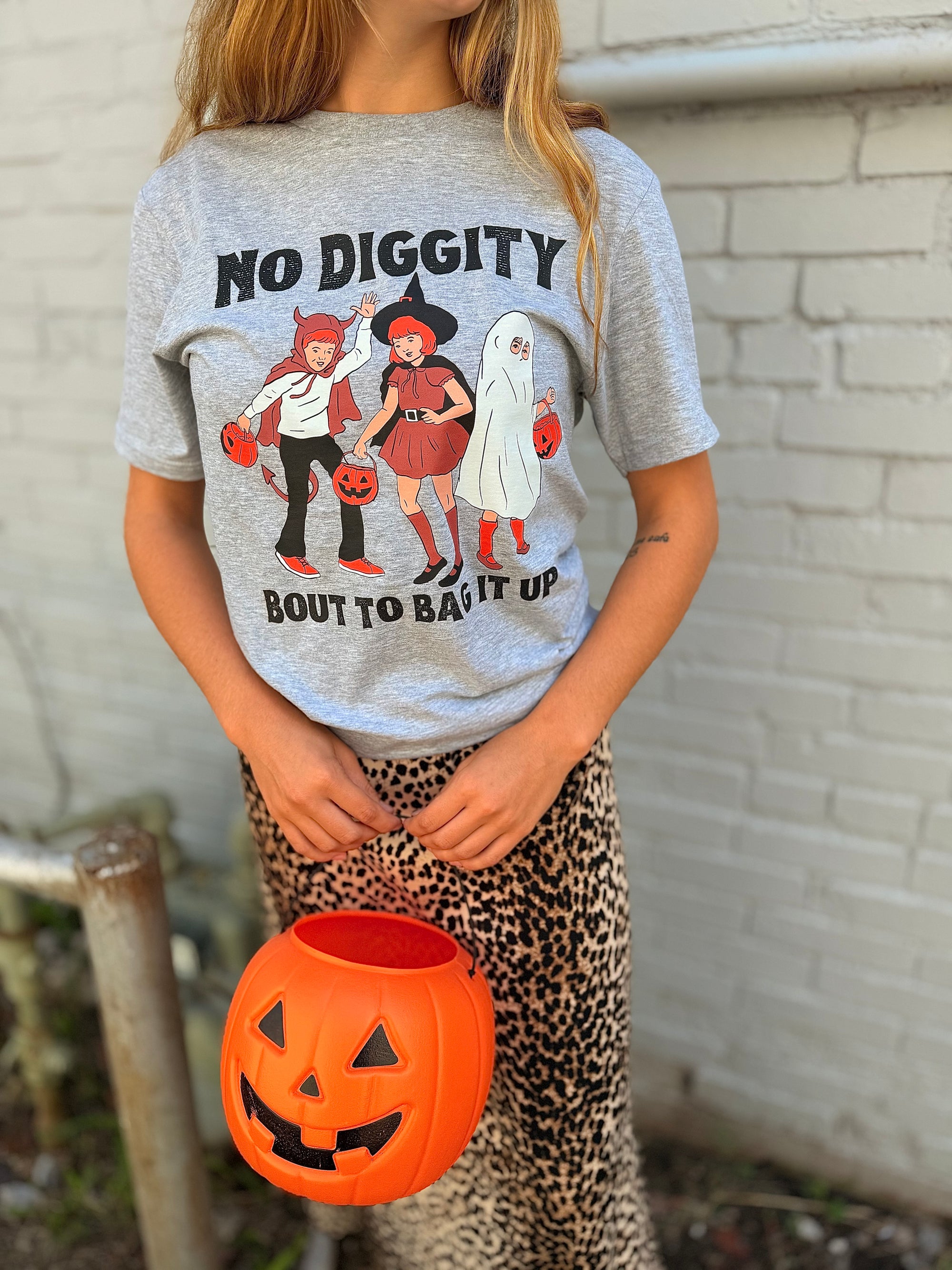 Grey No Diggity Bag It Up T-Shirt