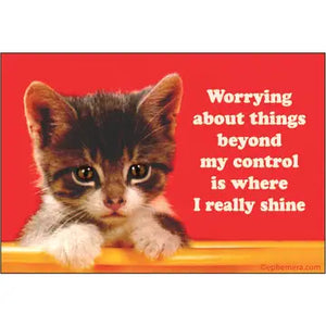 Snarky Fridge Magnets