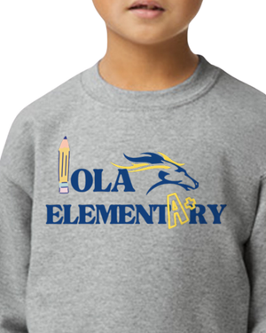 Iola Elementary PTO Fundraiser 2026