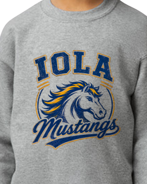 Iola Elementary PTO Fundraiser 2026