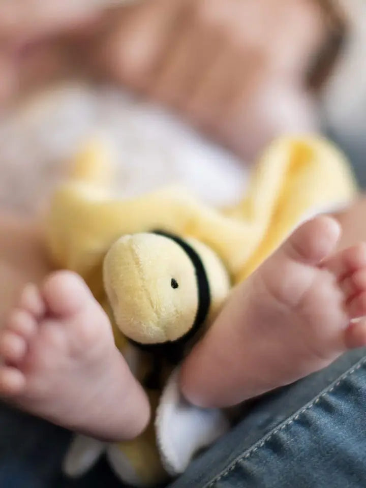 Burt's Bees Baby Hold Me Bee Organic Plush Lovey