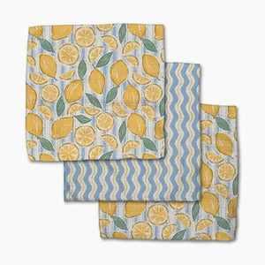 Geometry Dishcloth Set