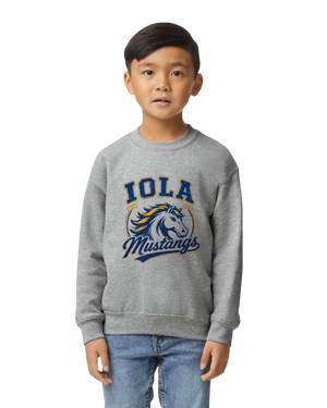 Iola Elementary PTO Fundraiser 2026